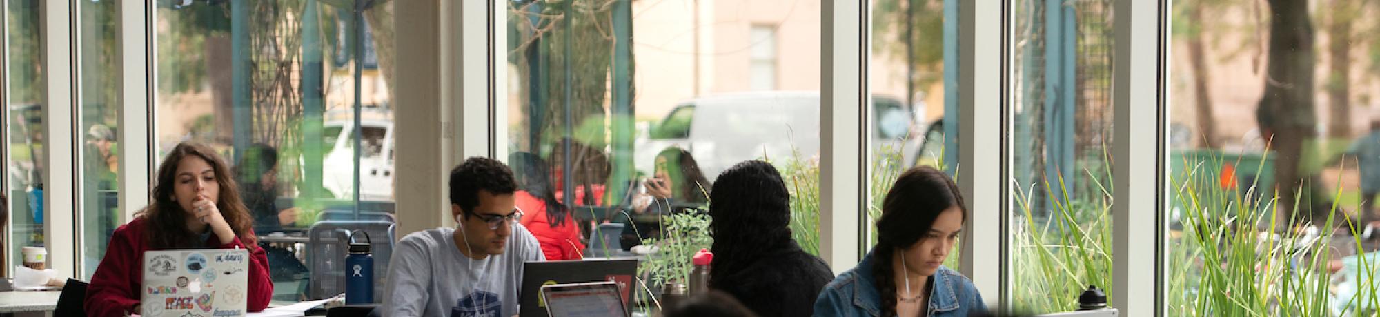 Students on laptops