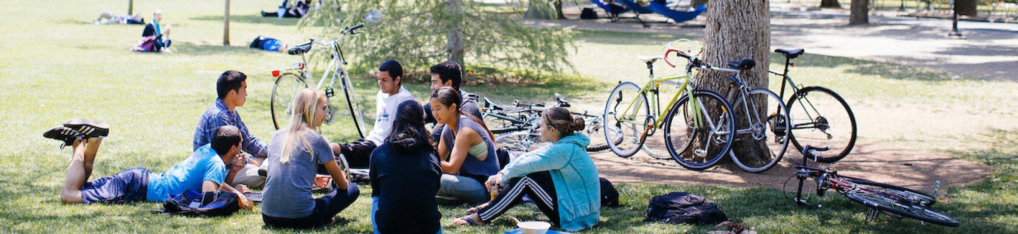 Students sitting on grass on the quad